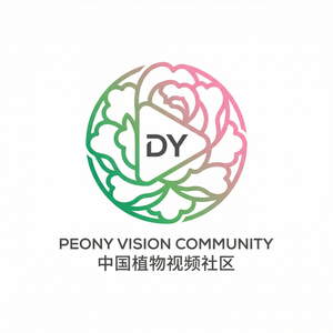 抖阴